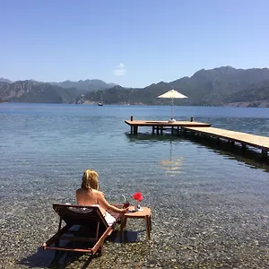 check availability